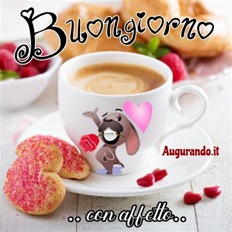 100 immagini buongiorno gratis per whatsapp